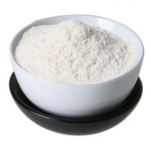 Factory  Chondroitin Sulfate/Chondroitin Sulphate/Chondroitin 4-sulfate CAS 9007-28-7